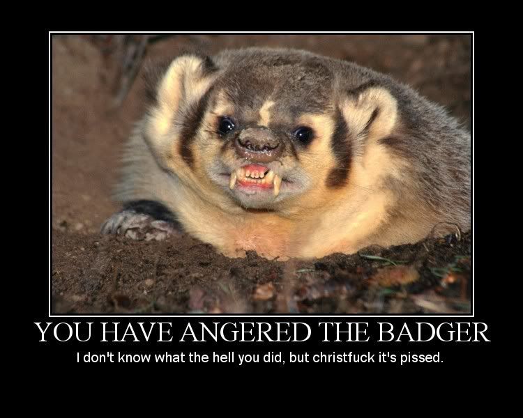 Angered The Badger