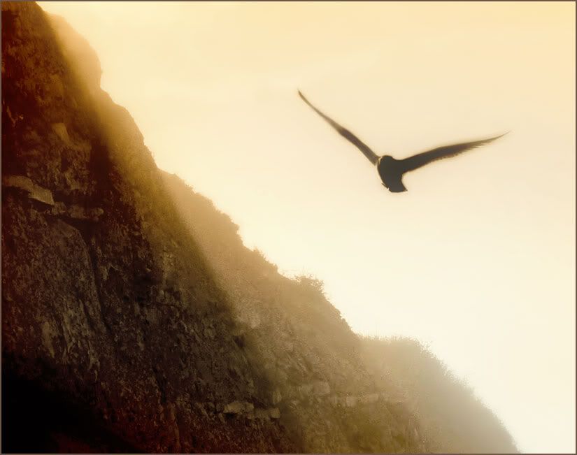 soar photo: soar 20060814122729_soar_above_it.jpg