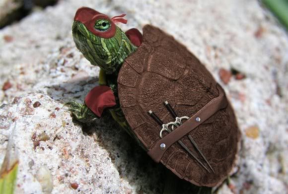 Ninja-Turtle-in-Real-Life.jpg