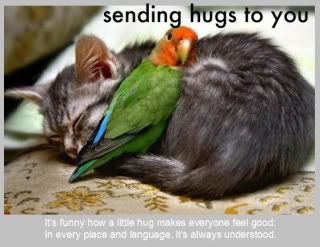 Cat_and_bird_hug.jpg
