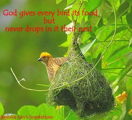 God-gives-every-bird-its-food.jpg