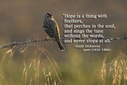 Sparrow-Hope.jpg