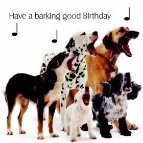 dogbirthday.jpg