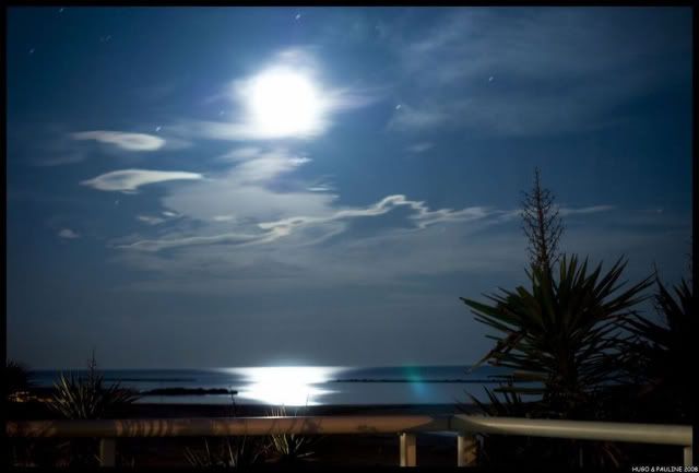 moonlight-waters-lovely-view.jpg