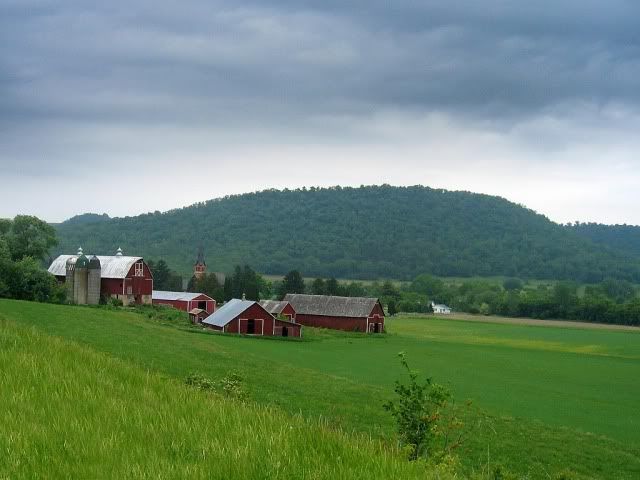 wisc_dairy_farm_medium.jpg