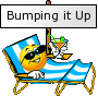 bumpbeach.png