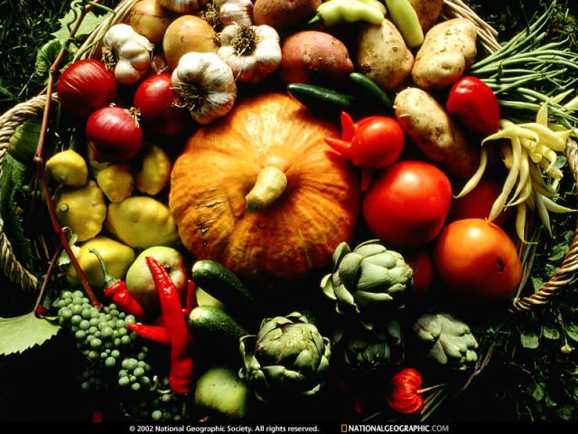autumn-produce-533154-sw.jpg