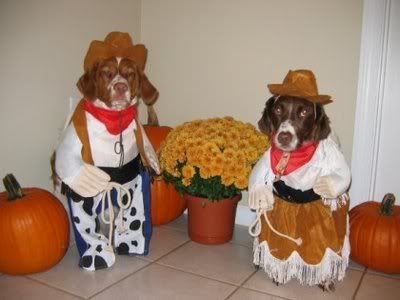 funny-dog-costumes_TheSocialNewspaper-21.jpg