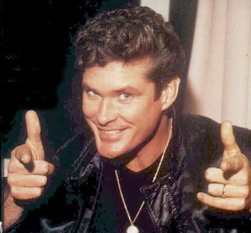 hasselhoff.jpg