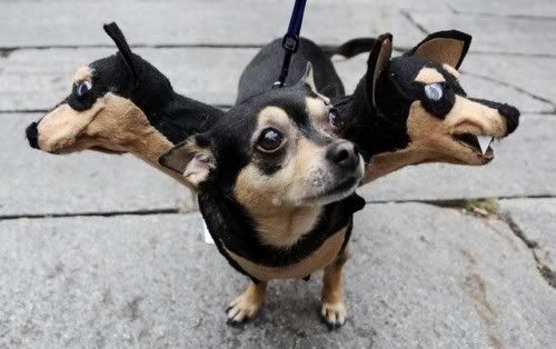 10-three-headed-dog-costume-e1304086810257.jpg