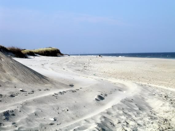 Sandy-Hook-Beach-570x427.jpg