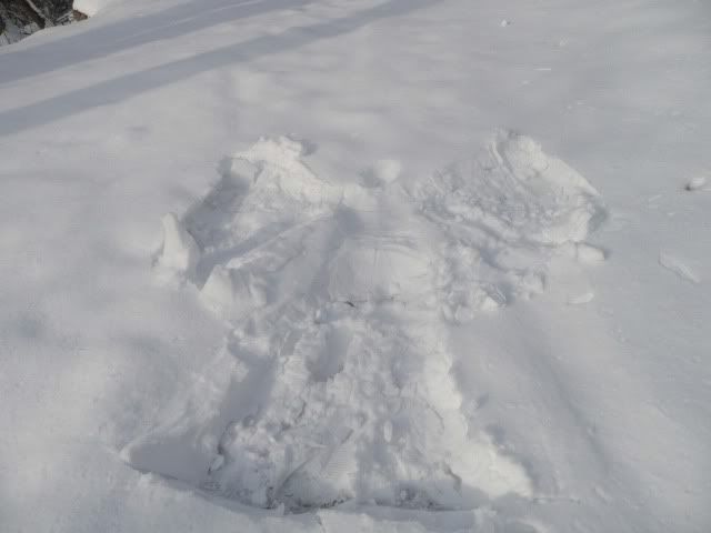 SnowAngel.jpg