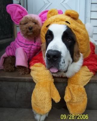 dog-in-pooh-bear-and-piglet-costumes.jpg