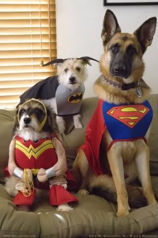 dog_costumes_halloween07_520c-1.jpg