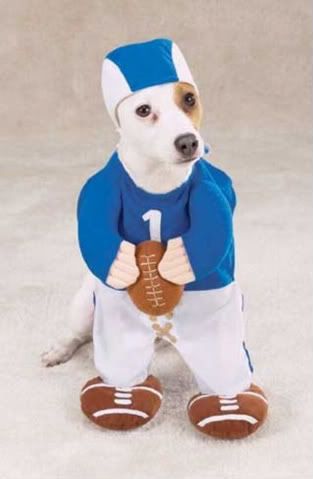 dog_halloween_costumes_04.jpg