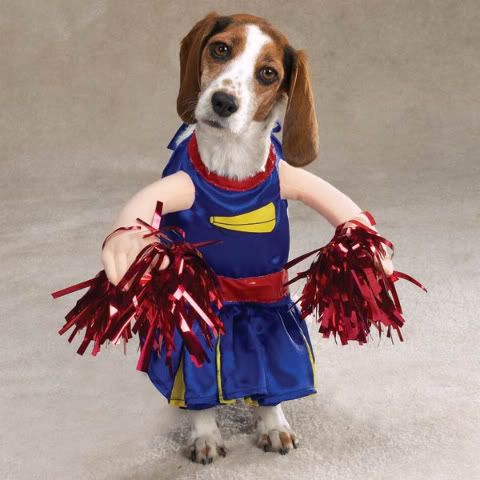 dogcheerleader.jpg