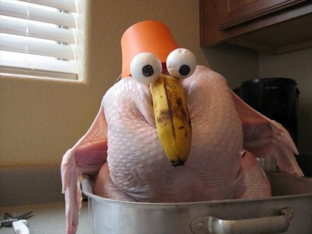 funny-thanksgiving-pictures-22.jpg