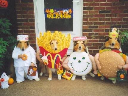 trickortreatdogs3.jpg