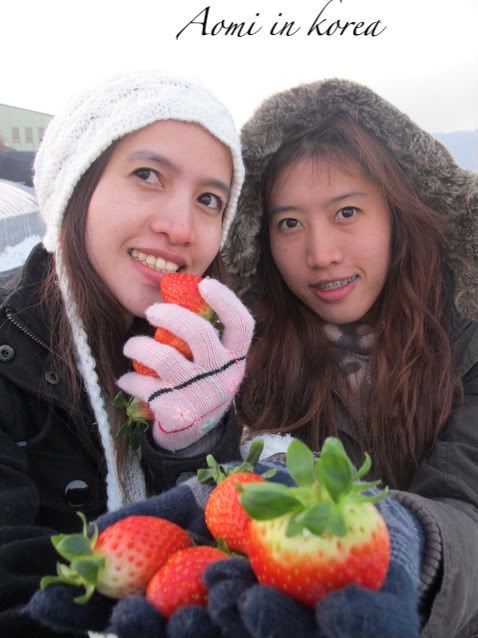korea 1