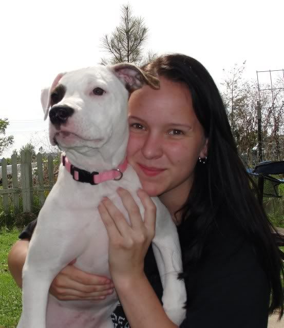 OK, Stop It!! - Goats