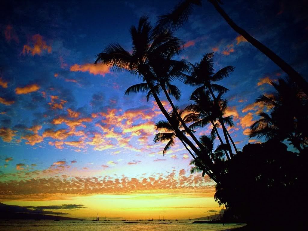 Afterglow_Hawaii_Tropical_Islands.jpg paisaje image by angelicamgs