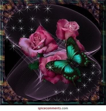 00030.jpg rosas picture by angelicamgs