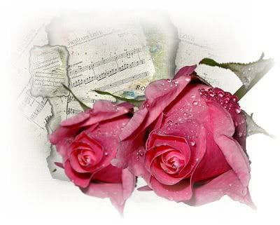 rosasparati-1.jpg rosas image by angelicamgs