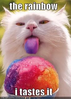 funny-pictures-snow-cone-cat-tastes.jpg Stole from Bethy- thanks babe! image by hchubb2000