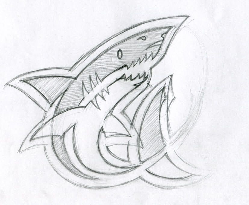 Sharks-Sketch.jpg