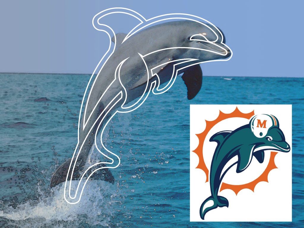 dolphin_comparison.jpg