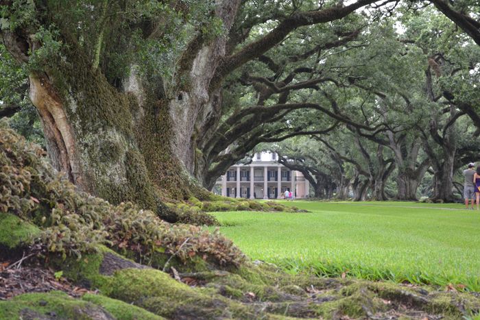 Deep South: Alabama - Louisiana - Mississippi - Tennessee - Blogs de USA - Día 7: Cajun Country (New Orleans - Lake Martin) (10)