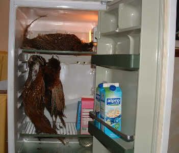 Fridge.jpg