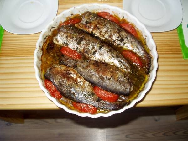 Bild