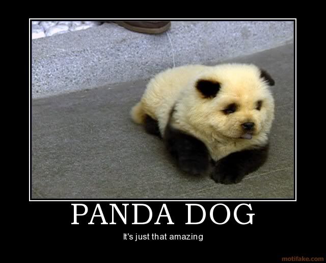 panda-dog-demotivational-poster-122.jpg