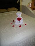 th_IMGP6978.jpg