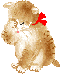 Icon MSN Cat