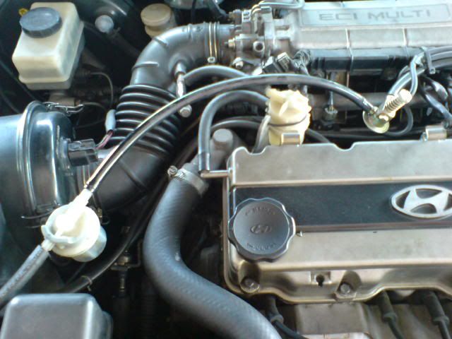 DSC00882.jpg