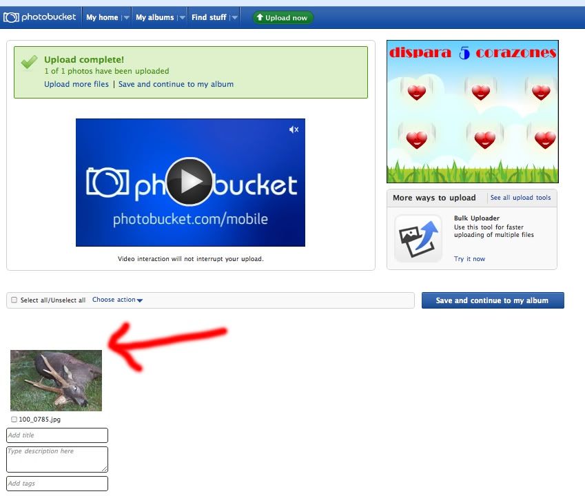 Photobucket
