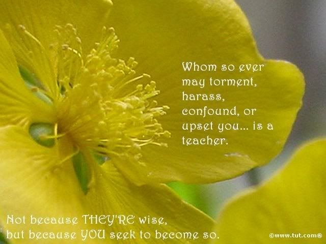 teacher quotes images. Teacher Quotes: Teacher Image