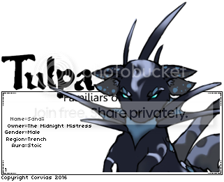 User Image
