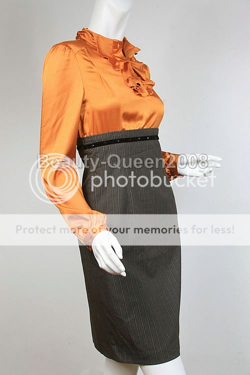 Ruffle Front Long Sleeve Dress Bead Bronze/Brown New XS  