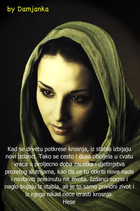 1240203827ULuSmER.jpg