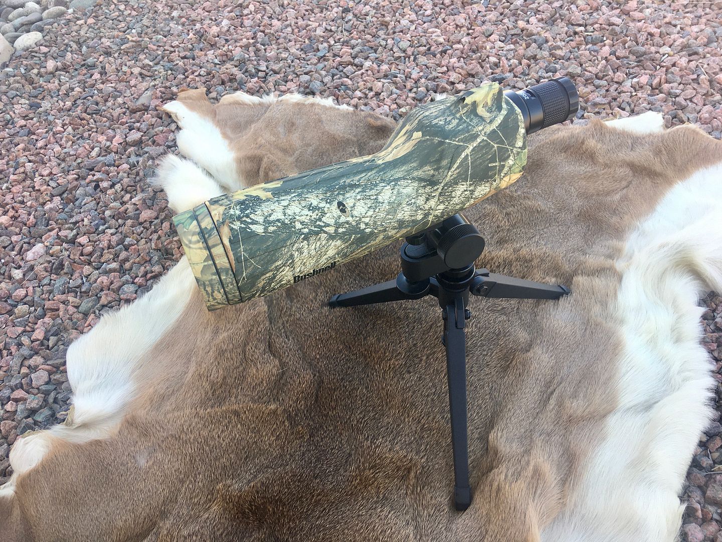 Bushnell Spacemaster 15-45x60 Spotting Scope (Camouflage) - 24hourcampfire