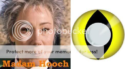 Madam Hooch Harry Potter Contact Lenses
